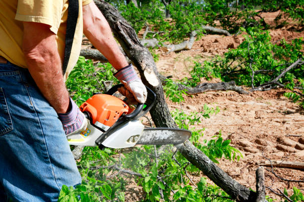 Best Tree Preservation Services  in Newington Forest, VA